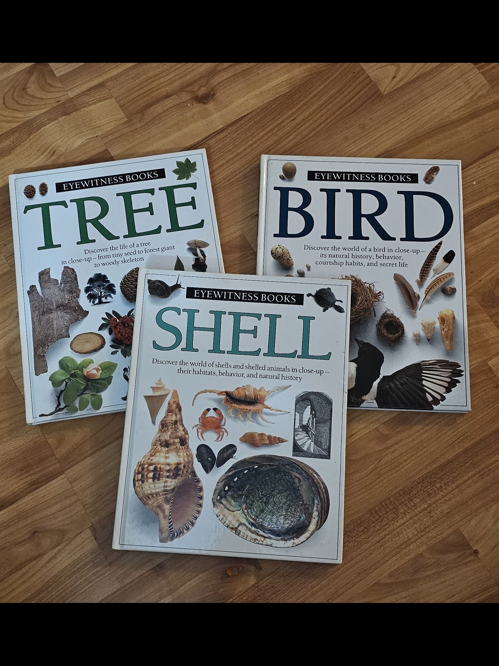 Lot of 3 Eyewitness Science Educational Books DK Books Bird, Tree, Shell